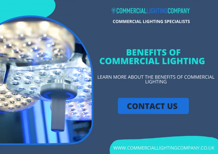 Commercial Lighting in Scotland